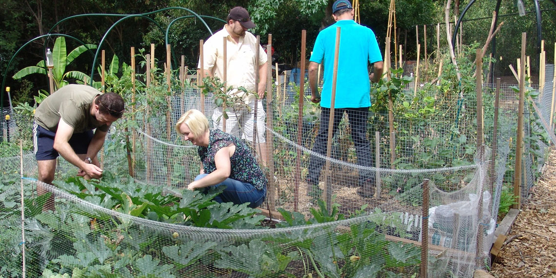 community-garden-volunteers