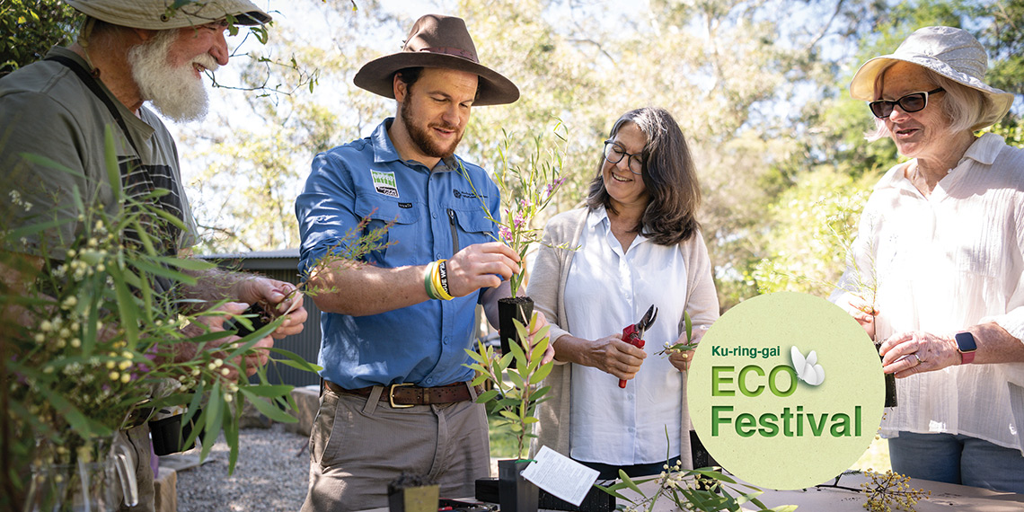 Introduction to organic gardening